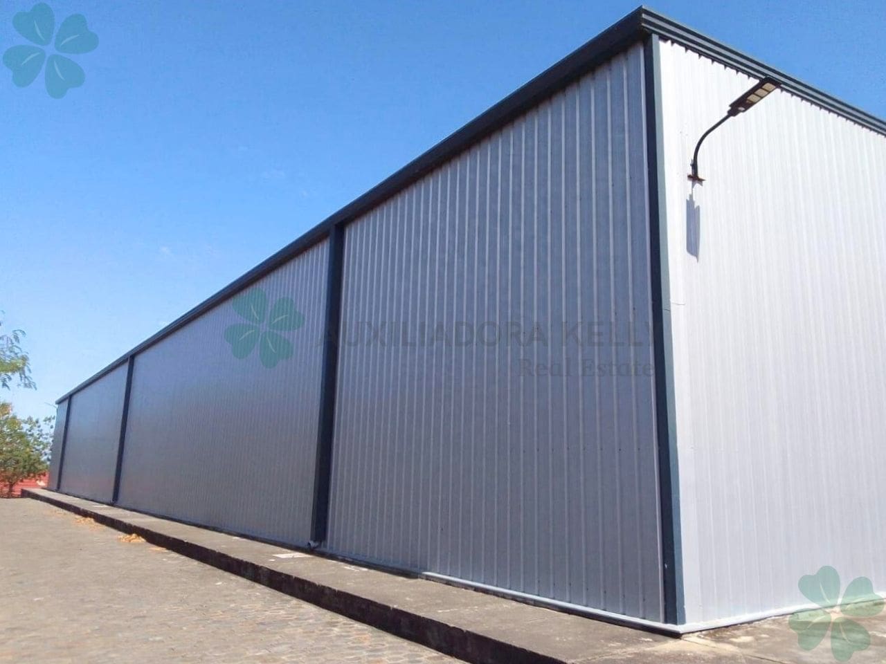 Disponibles 3 amplias bodegas para renta