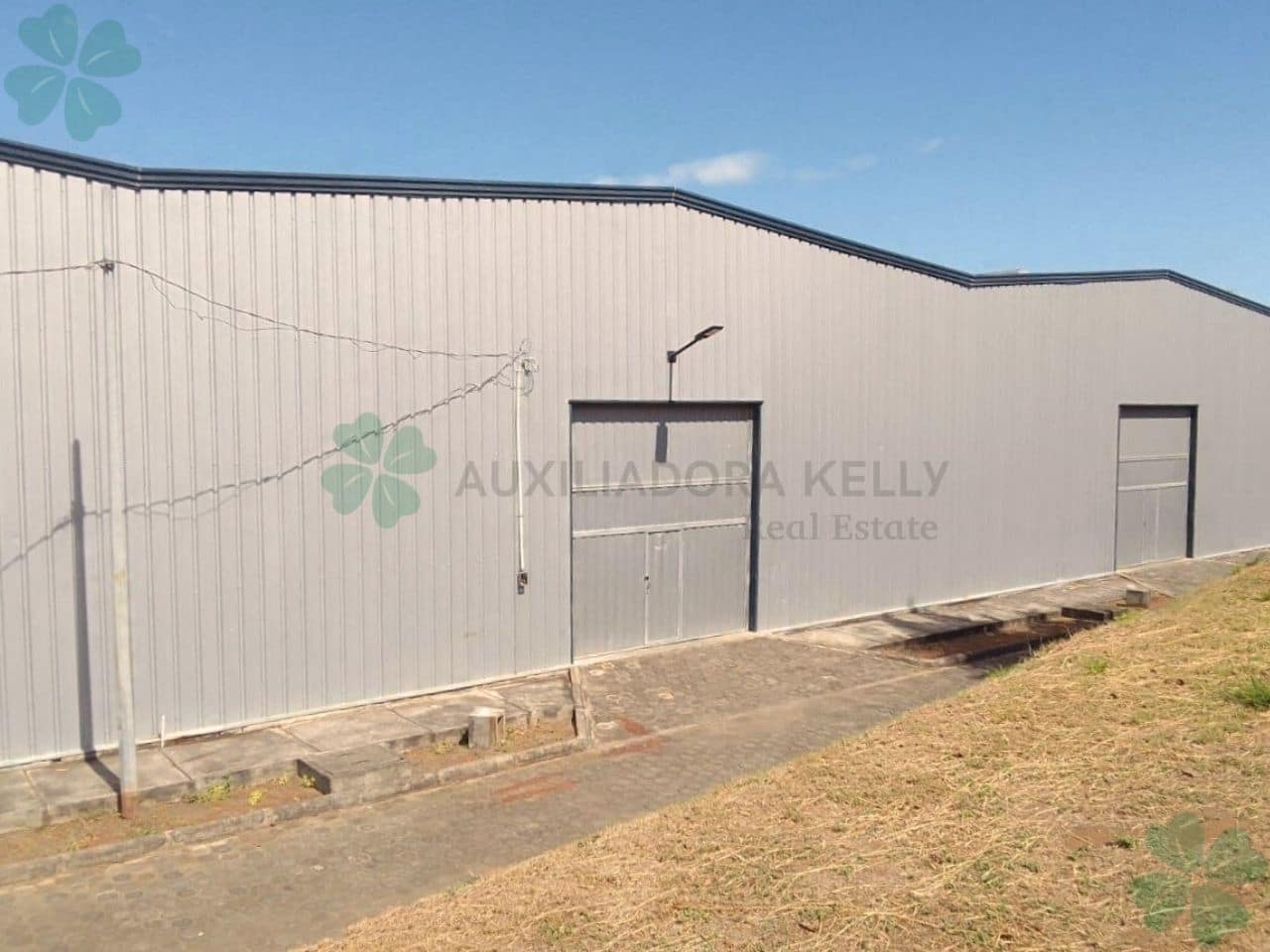 Disponibles 3 amplias bodegas para renta