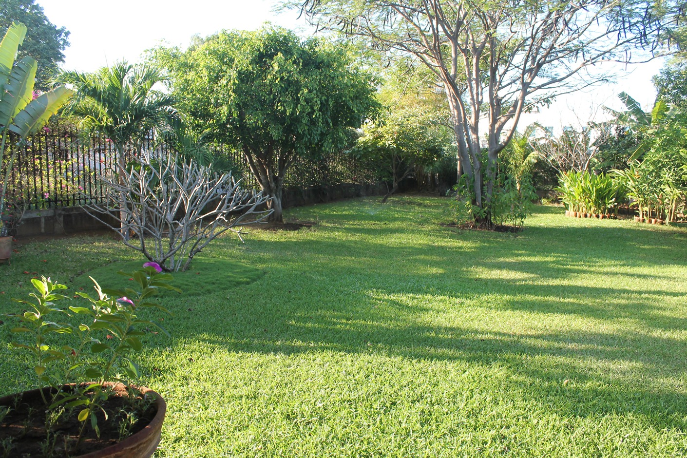 Casa Con Amplia Area Verde