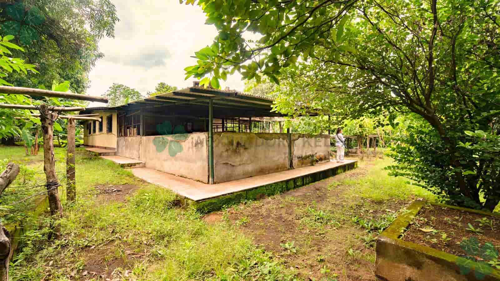 Quinta en el sector de Chiquilistagua