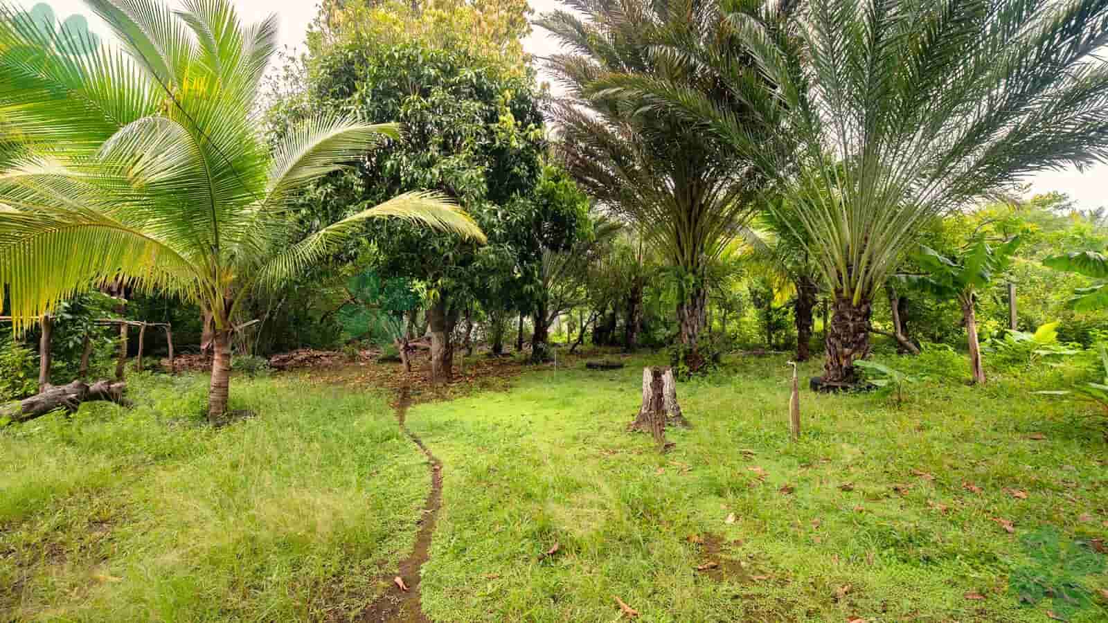 Quinta en el sector de Chiquilistagua