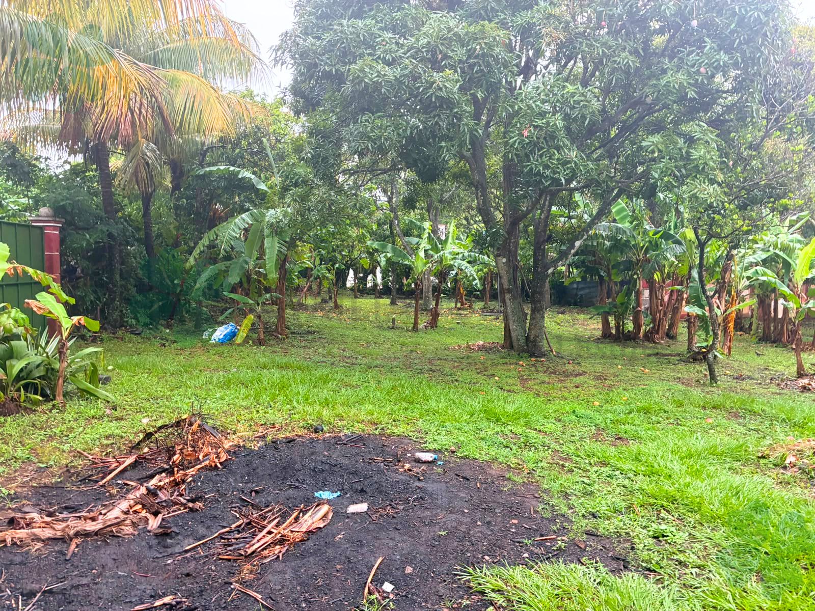 Terreno en Niquinohono
