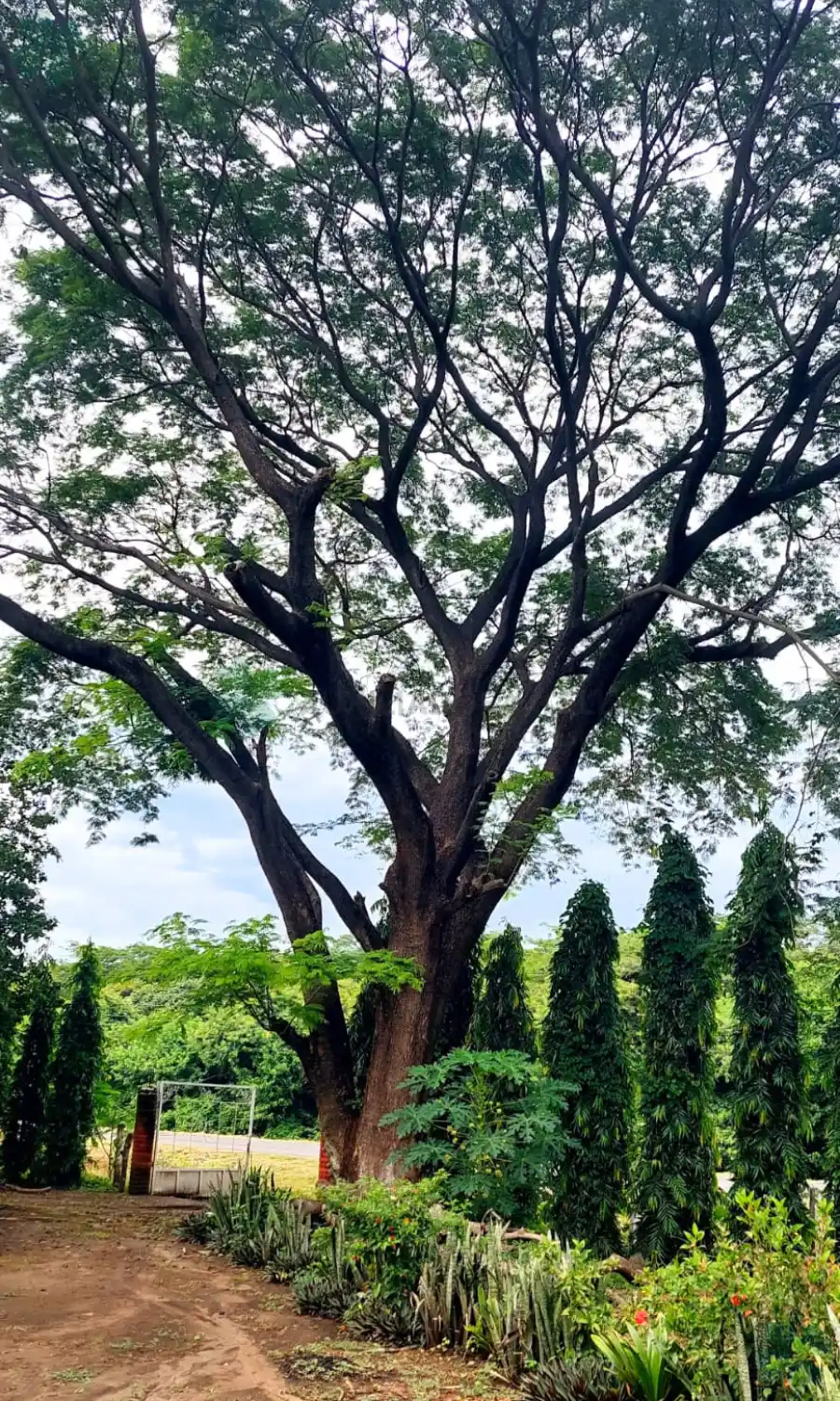 Quinta en Nagarote