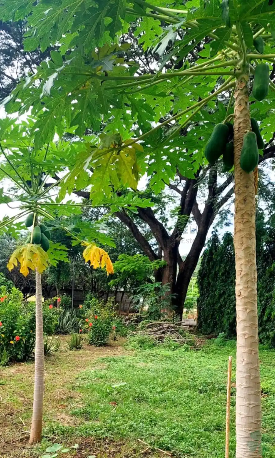 Quinta en Nagarote
