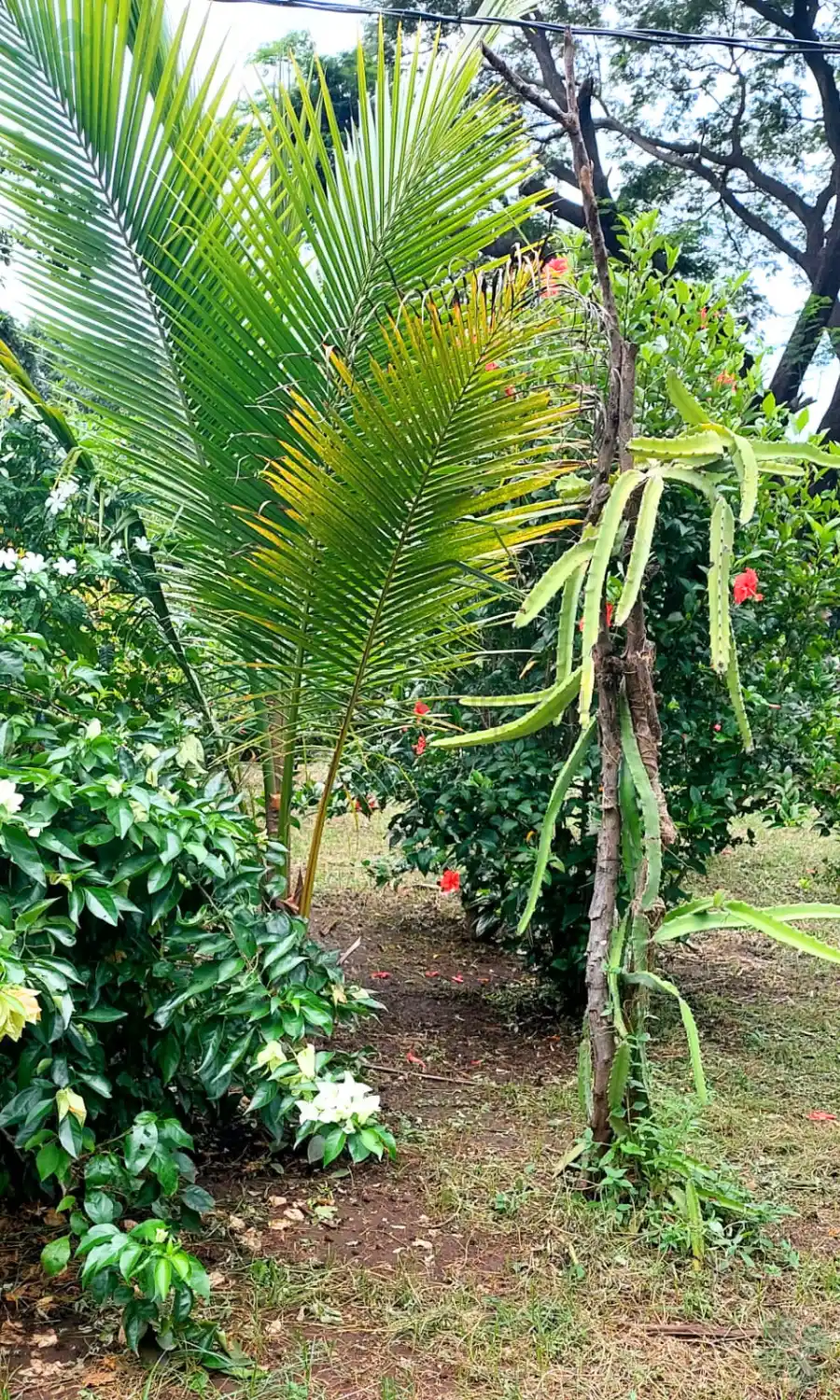 Quinta en Nagarote